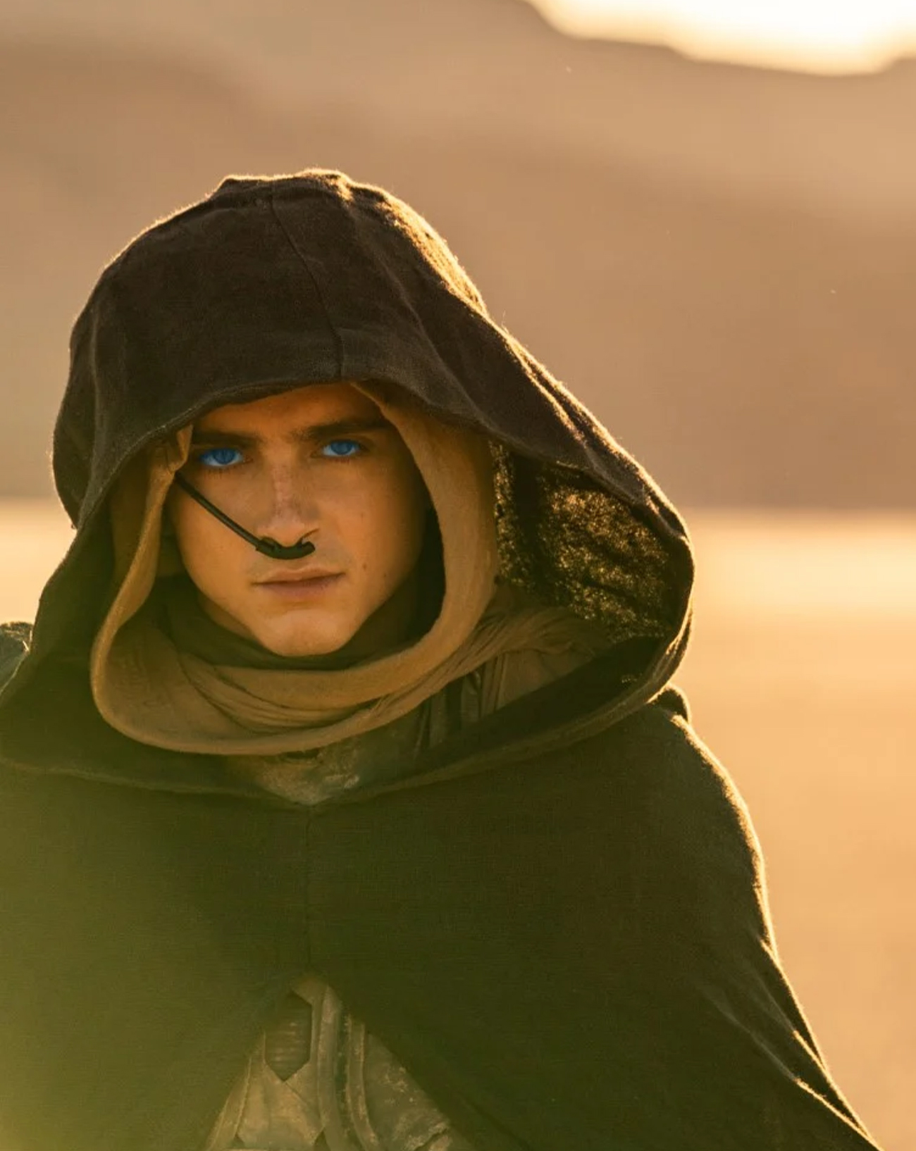 Dune 2 : Timothée Chalamet.